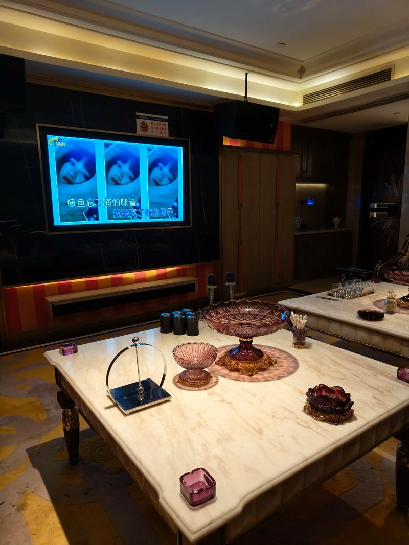 常德商务ktv精选攻略指南-津市市ktv预定